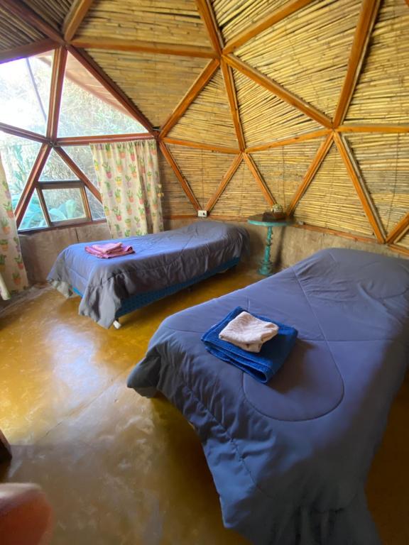 Casa Arbol Domos - 2