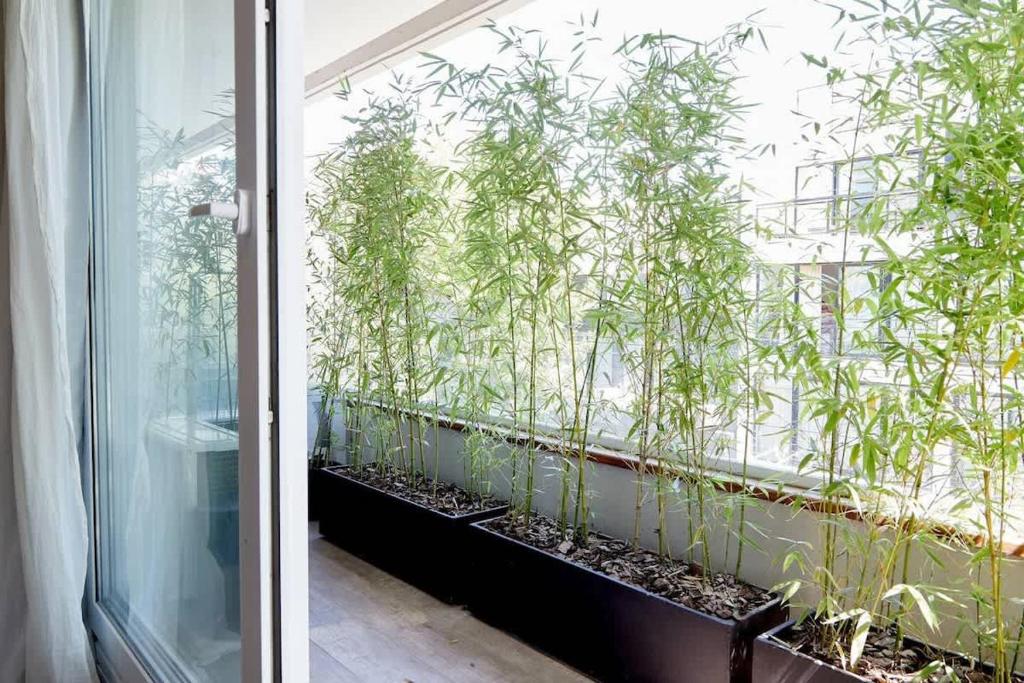 Departamento en Palermo Studio 201 - 4