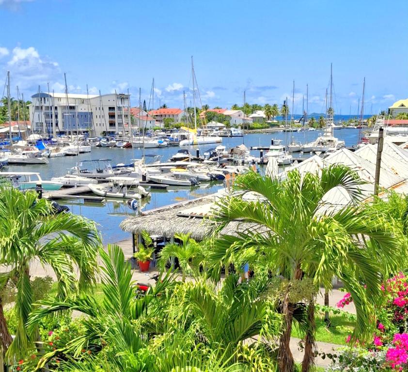 Duplex- Terrasse vue Mer, Piscines, Lagon, Plages, Jardin tropical, Saint-François