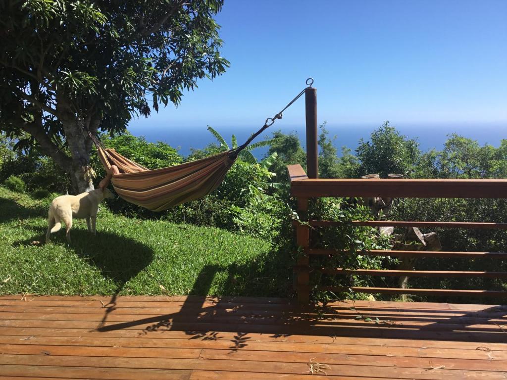 Ecolodge vue Océan Indien, Saint-Denis