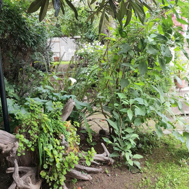 Habiteca Acentto B&B - 5