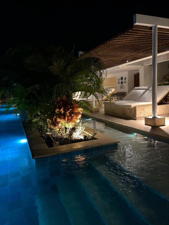 Luxury Calma Tropical - 3