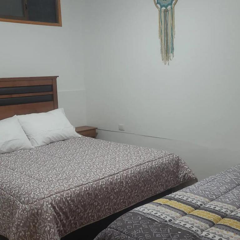Habitación privada Pisco Elqui - 3
