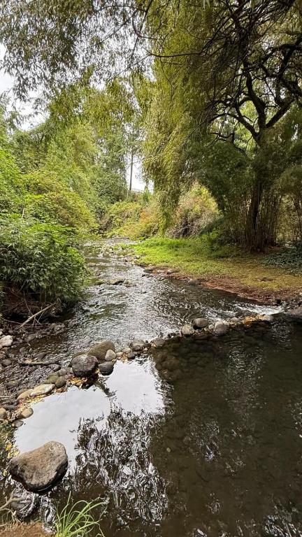 Cabaña Borde Río para 2 Licanray - 2