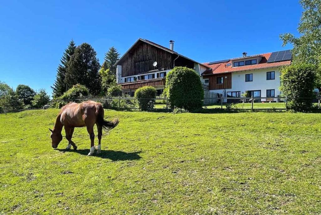 Alpen Panoramahof - 1