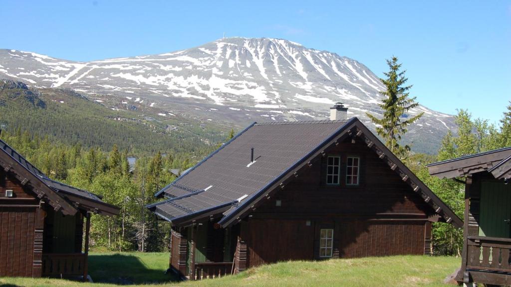Kvitåvatn Fjellhytter, Gaustablikk
