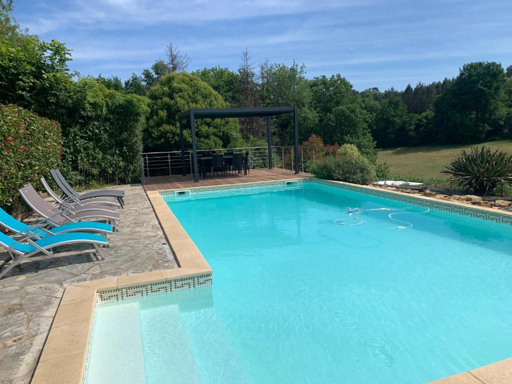 Ảnh 5