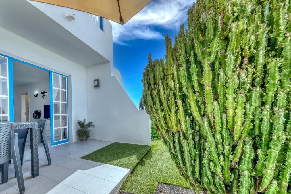 Casa Bella - Shared Pool and Terrace By Lanzarote Vacation Homes - 1