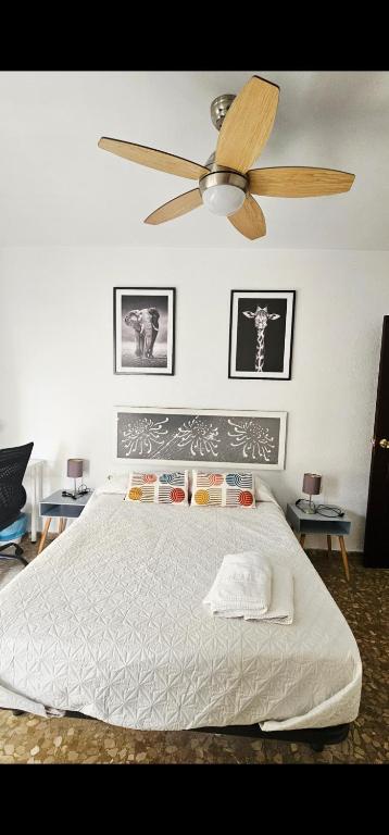Apartamento Soplos de vida - 2