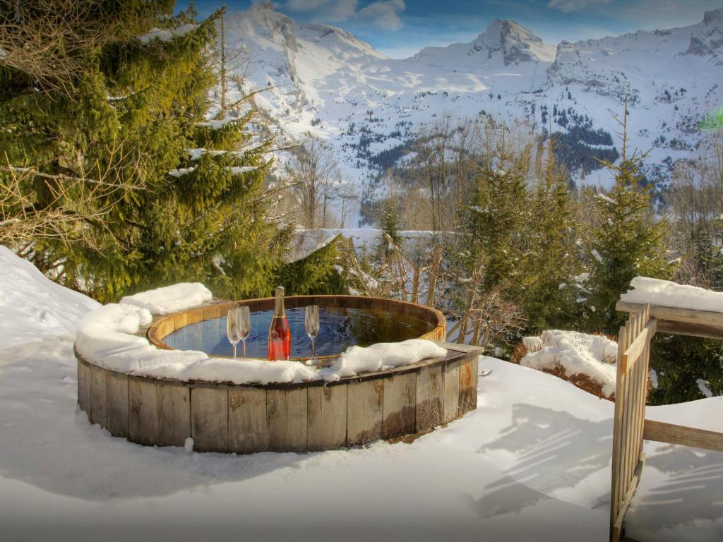 Chalet Fernuy - OVO Network - 3