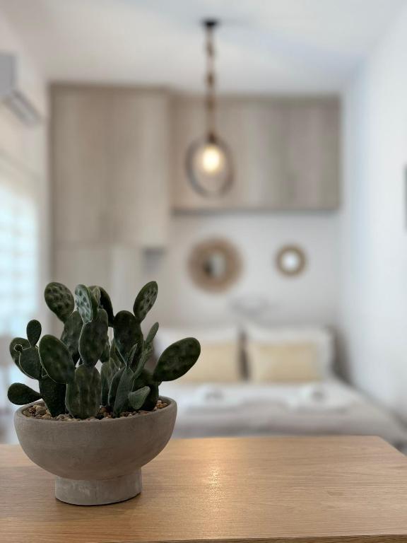 Calm Joy & J - Joy, Ermupoli