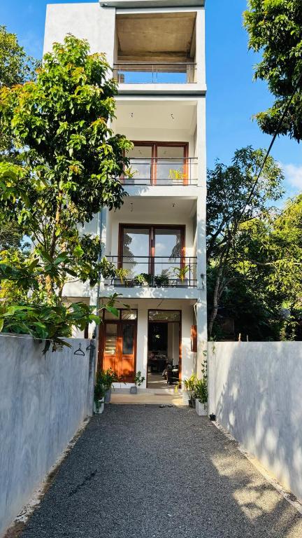 Jungle edge, Weligama