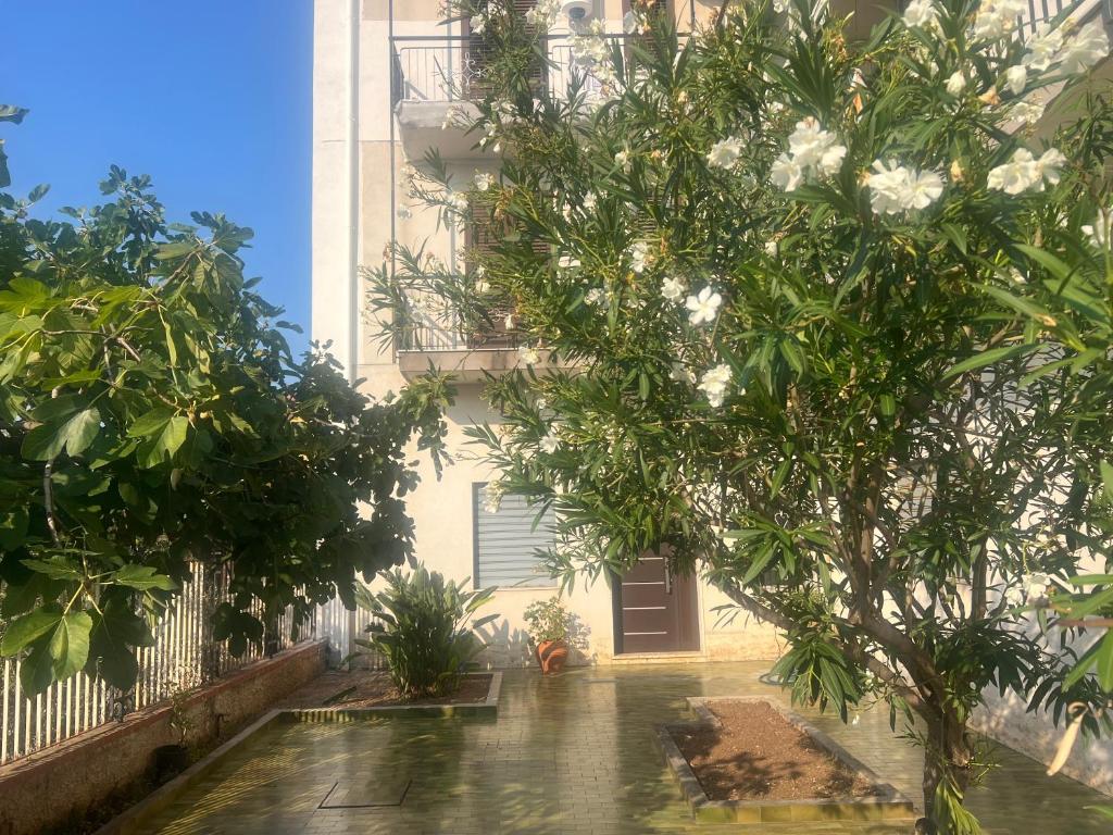 Bivio 281 suite&rooms - 2