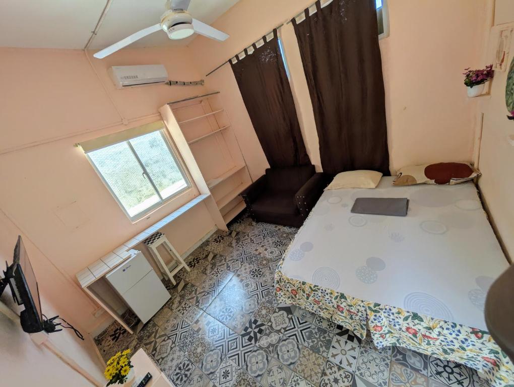 Ariba español, Santo Domingo