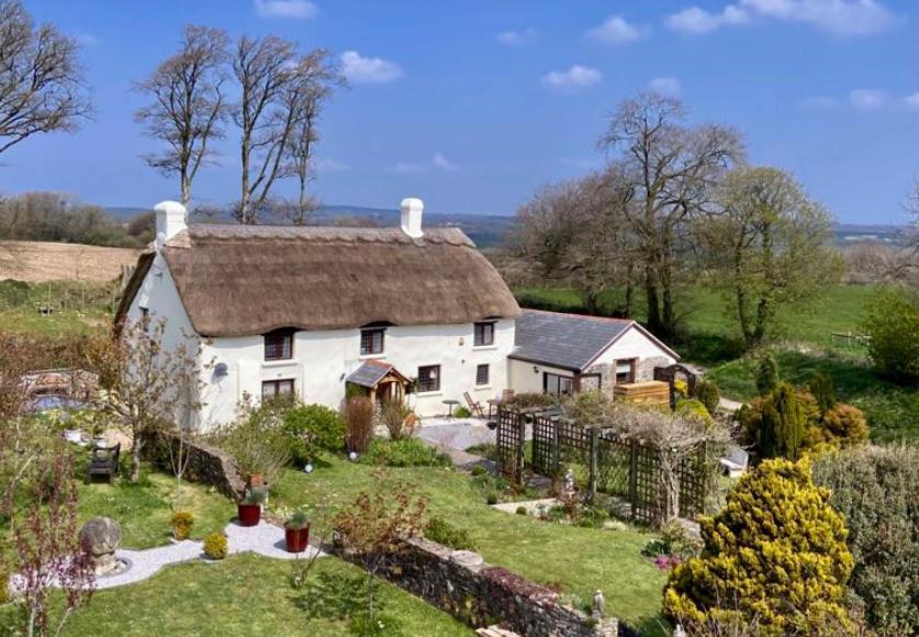 Thyme at South Worden, Bulkworthy