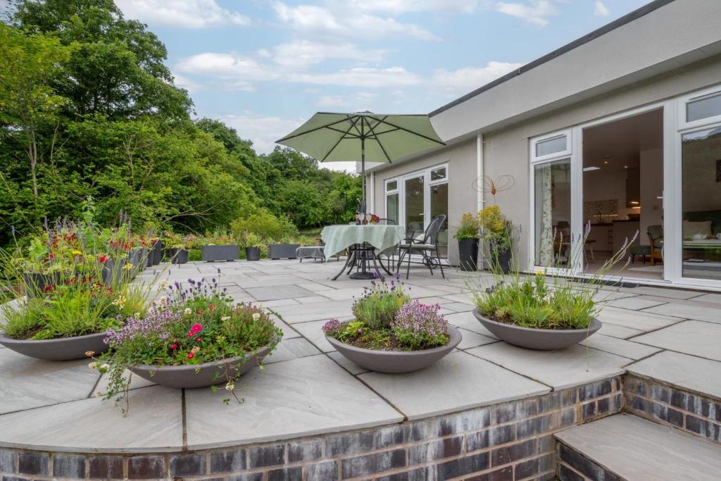 Nyth Bryn Haul, Llanidloes