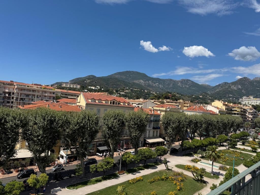 Appartement Charmant lumineux vue mer et jardin exceptionnel 3 étoiles - 3