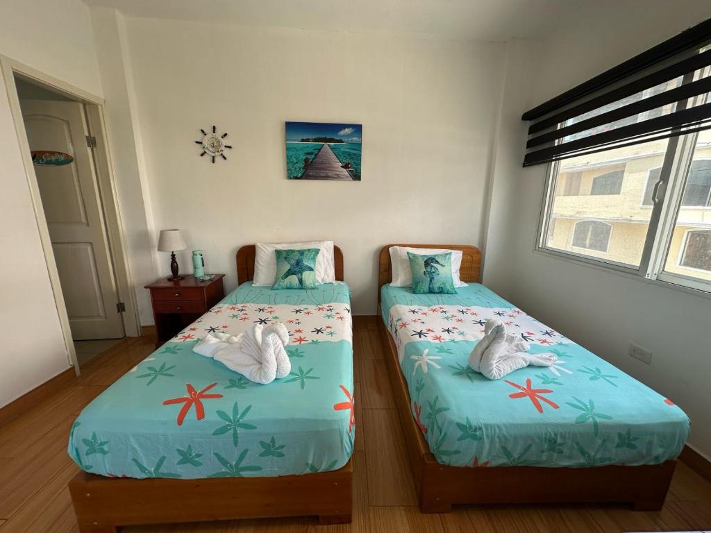 The Finch House (La Casa del Pinzón) - 3