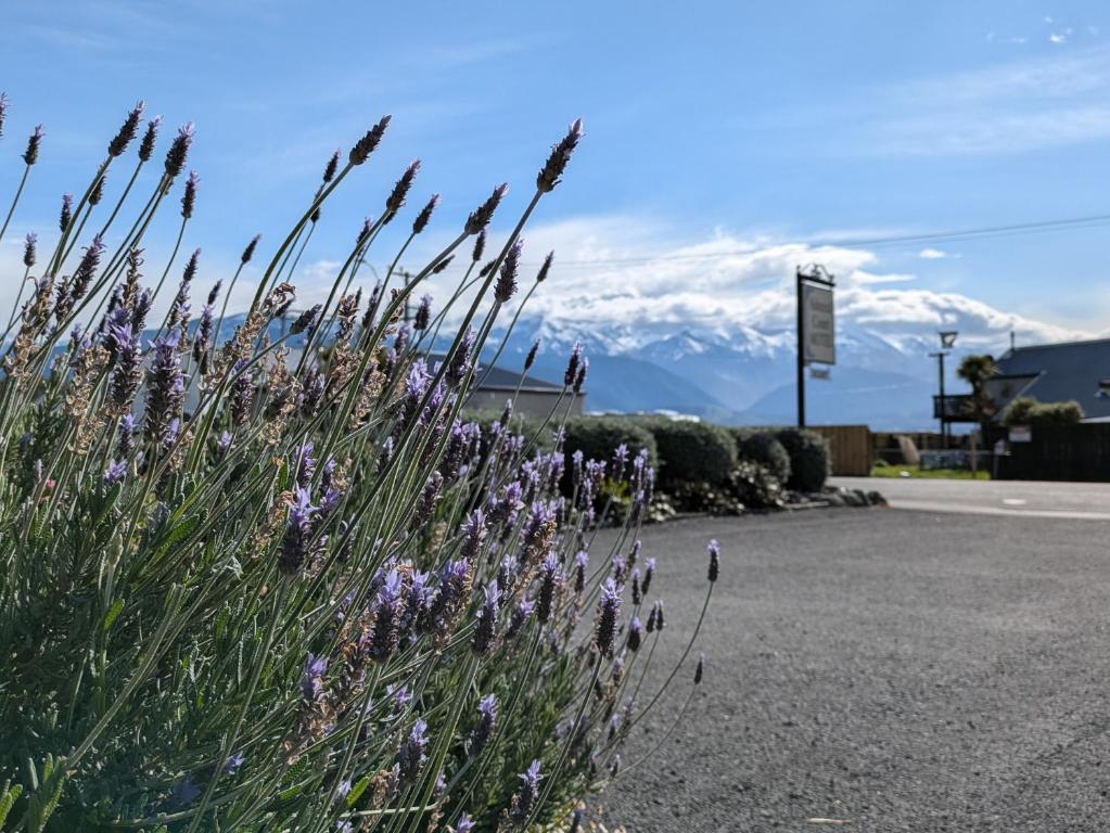 Surrounding environment