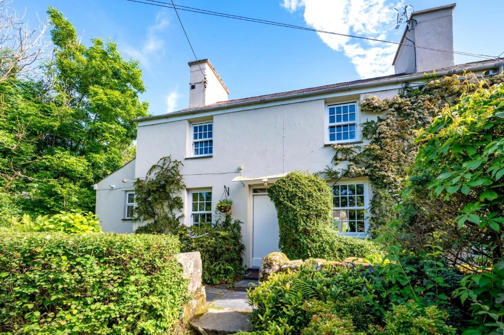Ynys Pandy, Llanfihangel-y-pennant