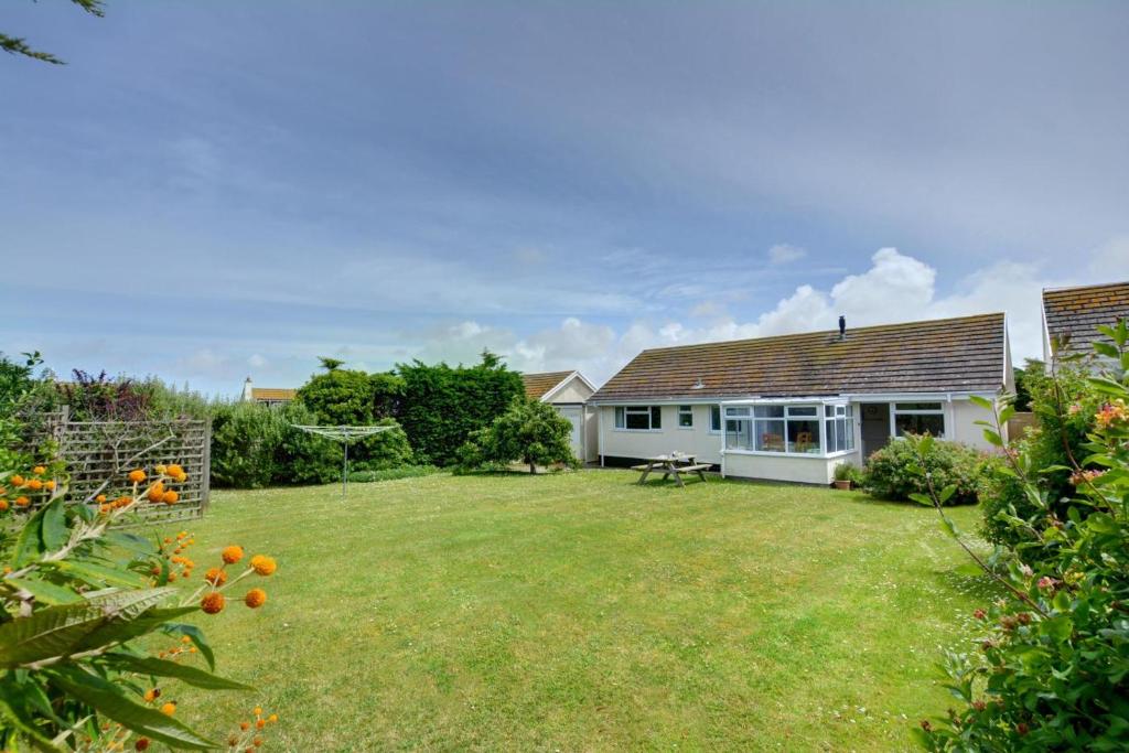 Guillemot, Saint Merryn