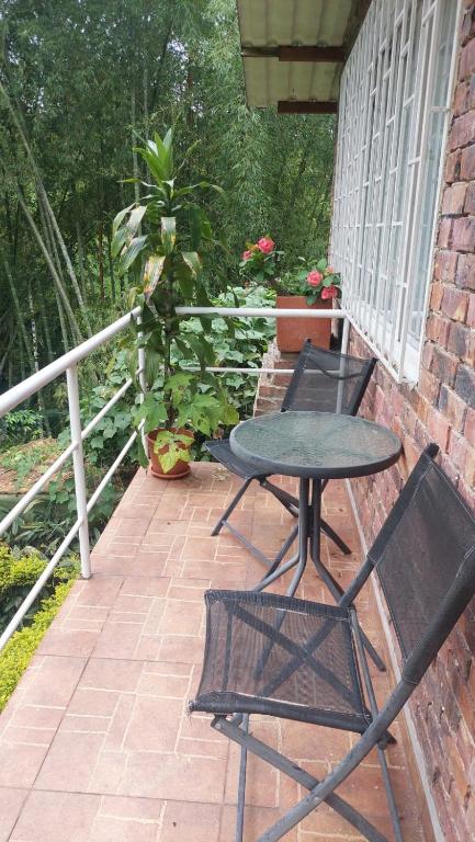 Alojamiento natural rural LOS NOGALES, apartamentos tipo glamping, avistamiento de aves, paisaje cafetero - 3