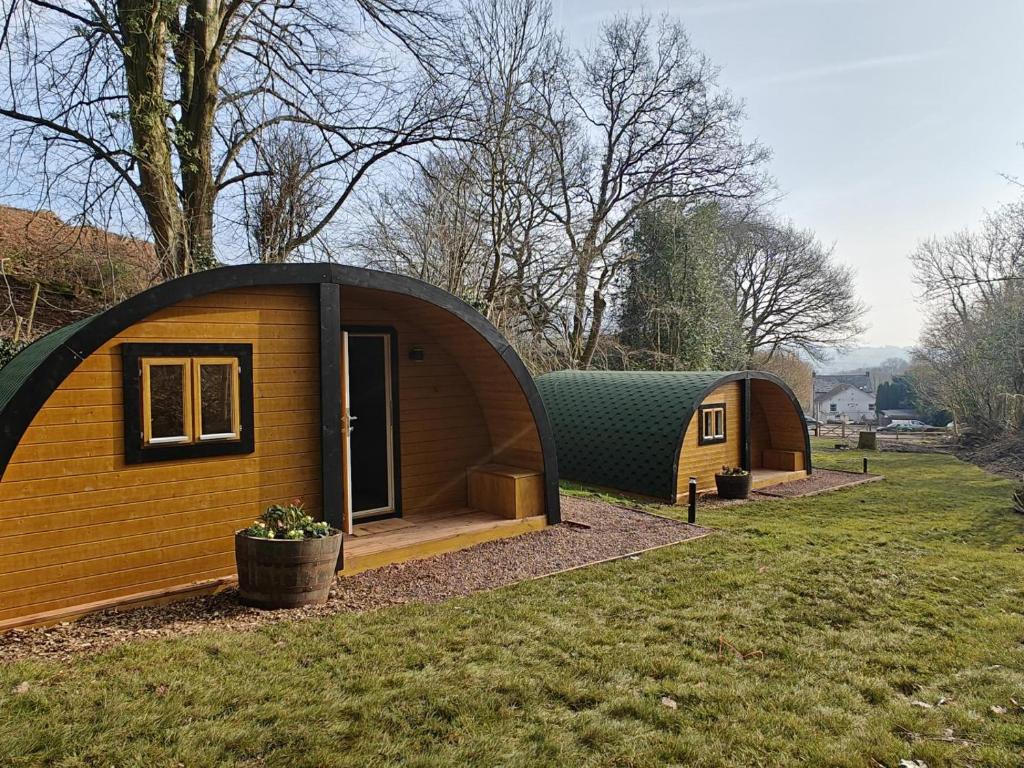 Elm - Pantygelli Escapes, Abergavenny