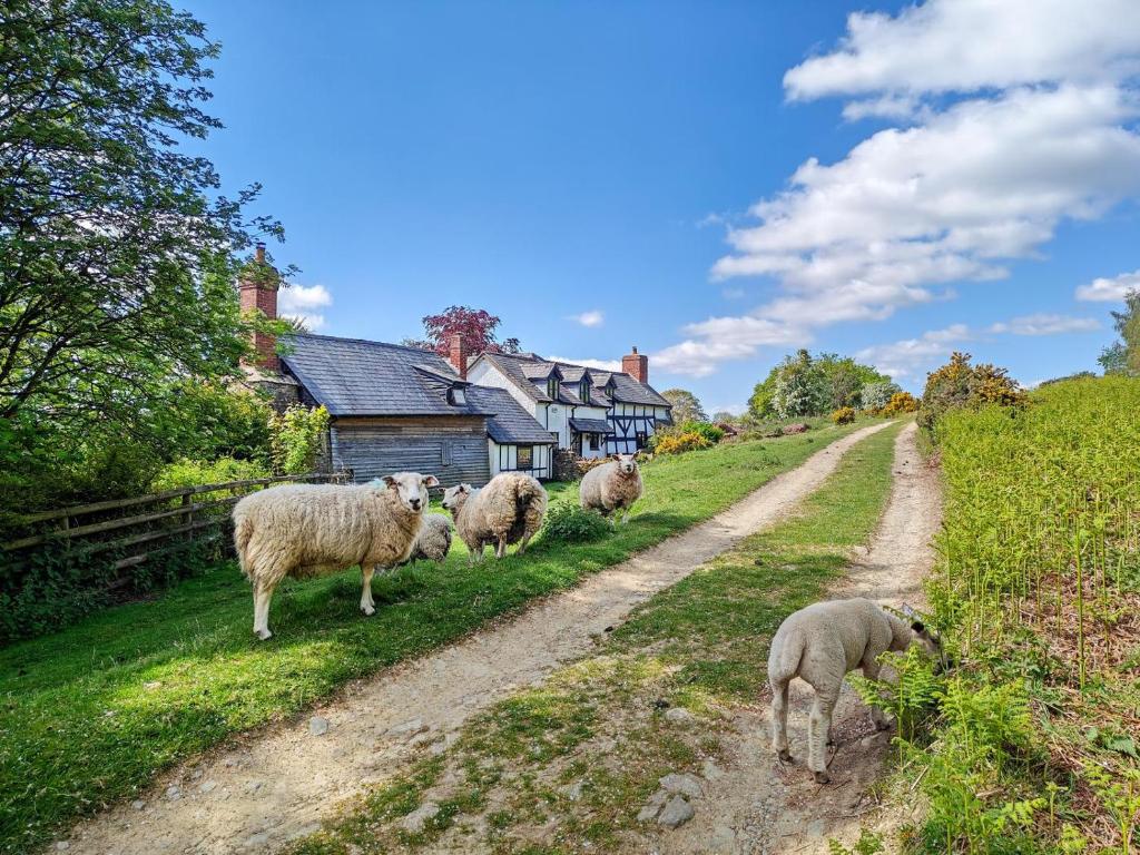 Ramblers Rest, Yarpole