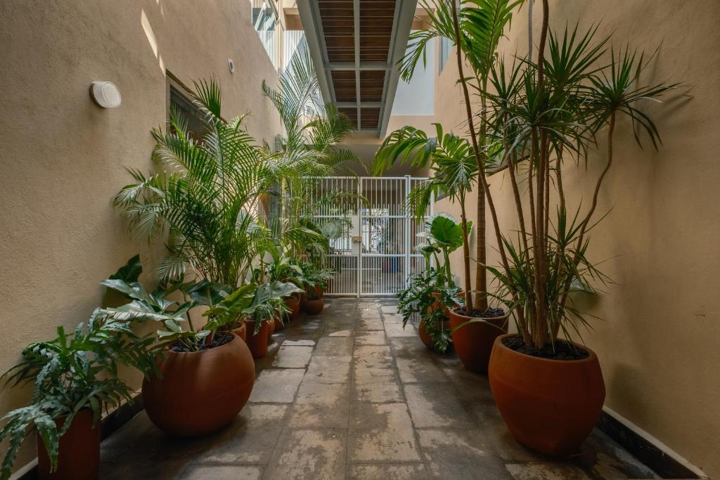 Cholula Condesa Hotel by Lumina - 2