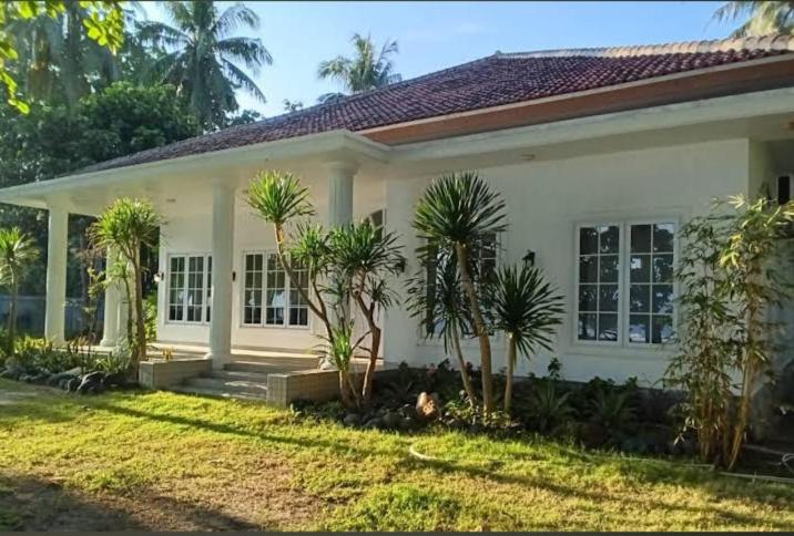 Damar Tree Resort Krui, Krui