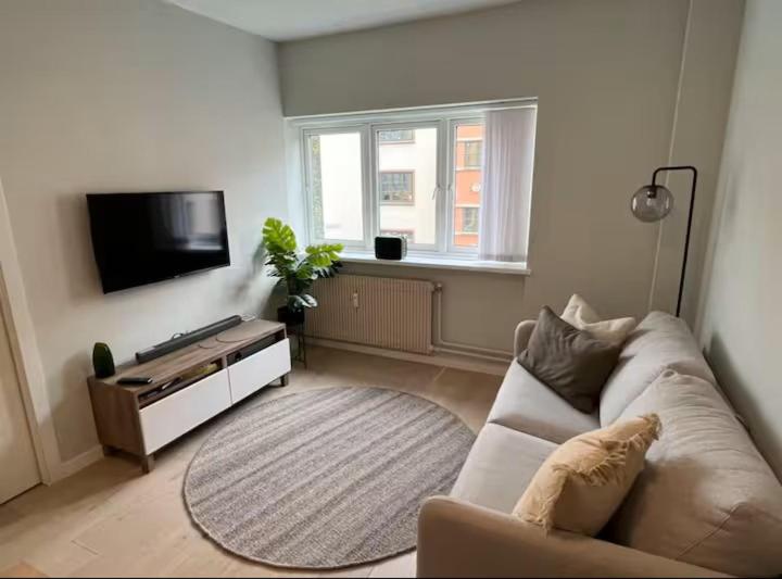 Cozy apartment centrally located, Oslo