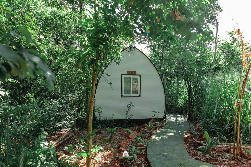 GLAMPING SELVA IGUAZU - 4