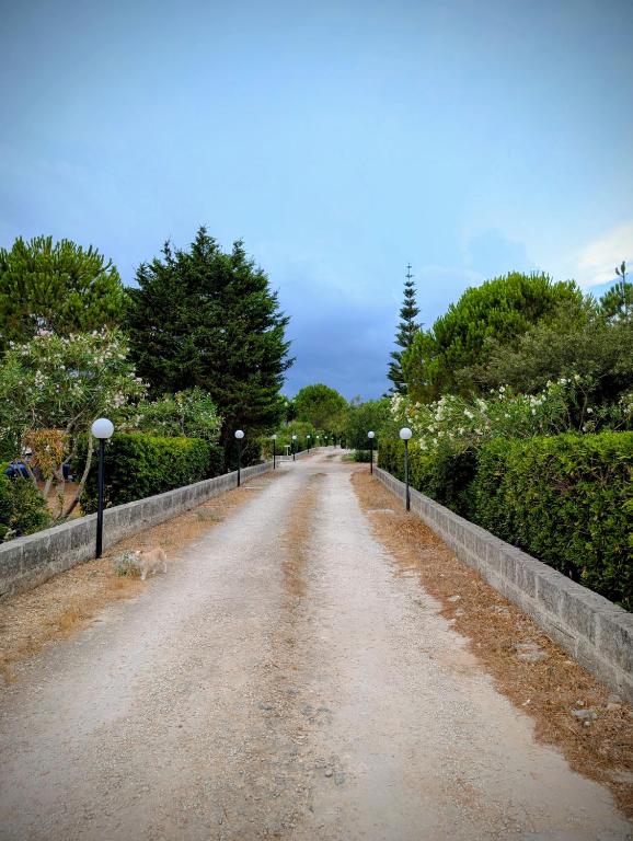 La Lanterna delle Fate - 3