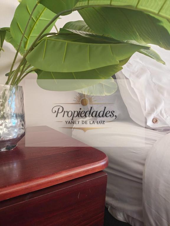 Departamento Central Vip - 2