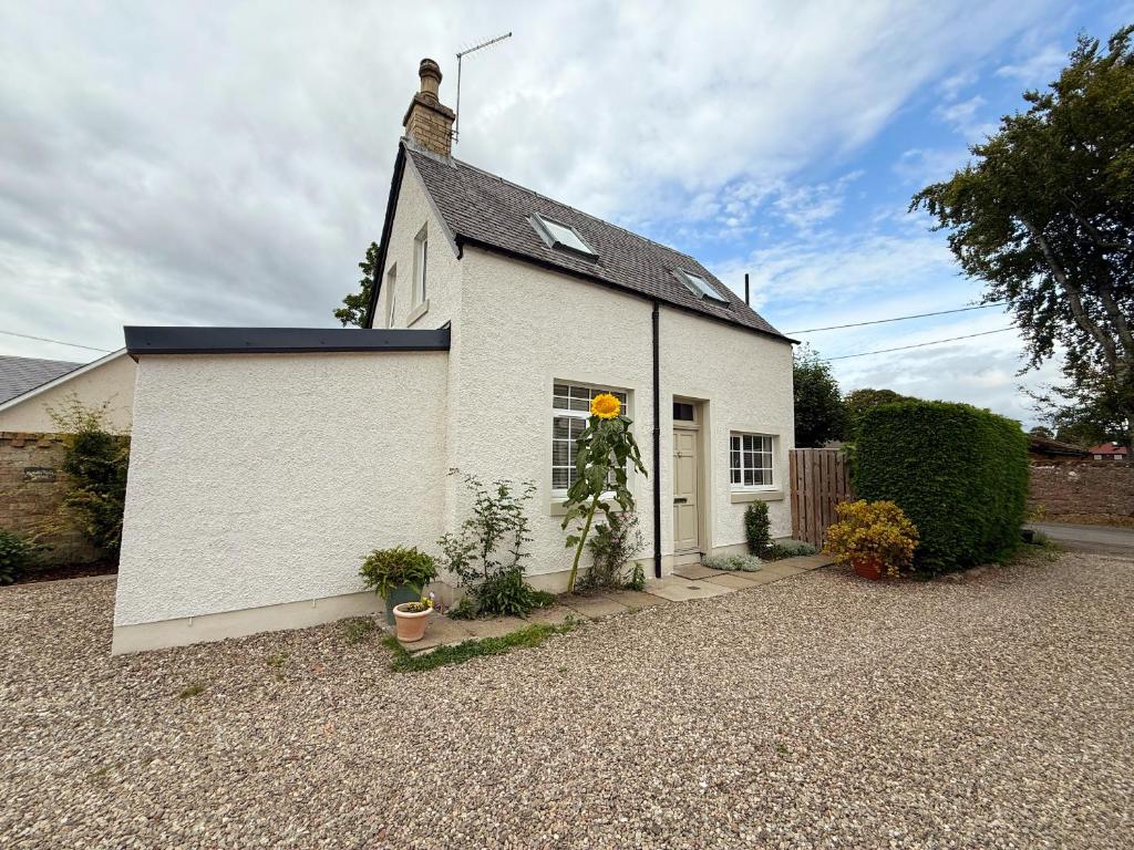 Robins Nest Cottage, Blairgowrie