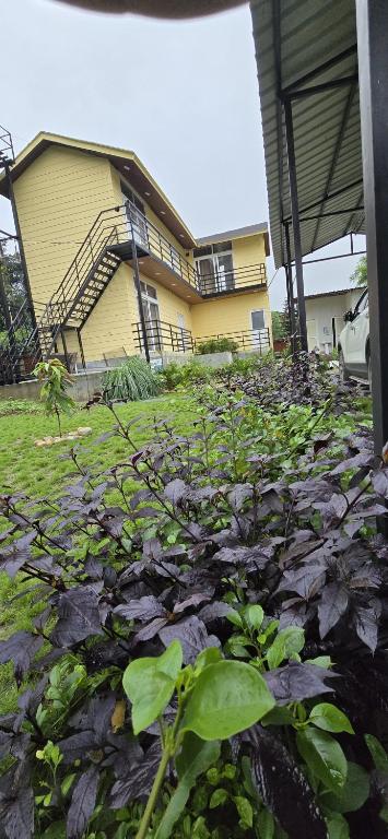 Radha Kunj, Déhrádún