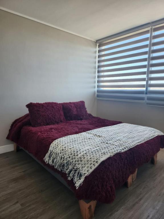 Moderno departamento en Coquimbo - 3