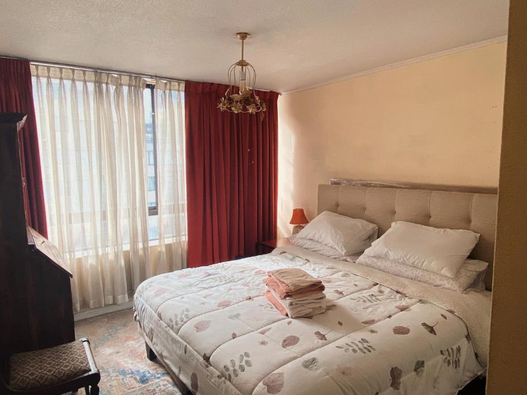 Departamento entero Santiago Centro - 3