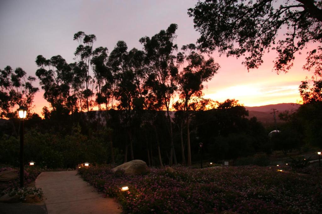 Ojai Retreat & Inn photo
