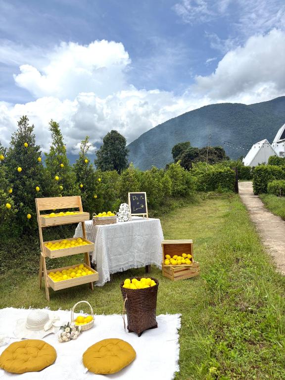 ทัศนียภาพ