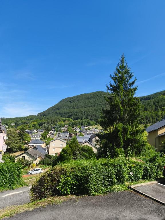 Une chambre paisible, Mende