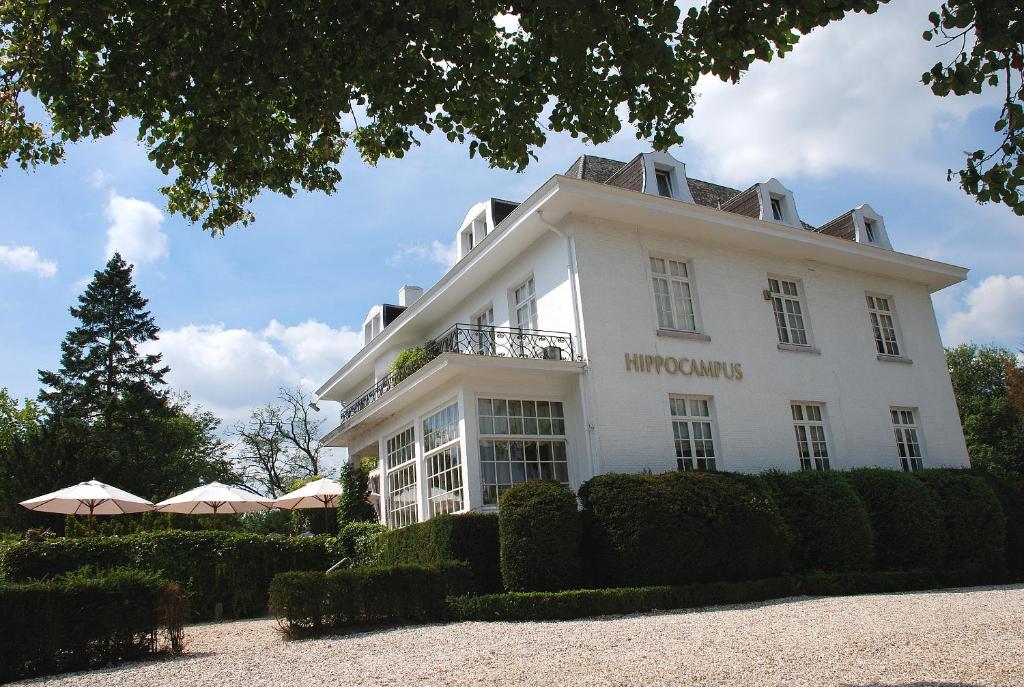 Hotel Hippocampus — Hotel in Mol