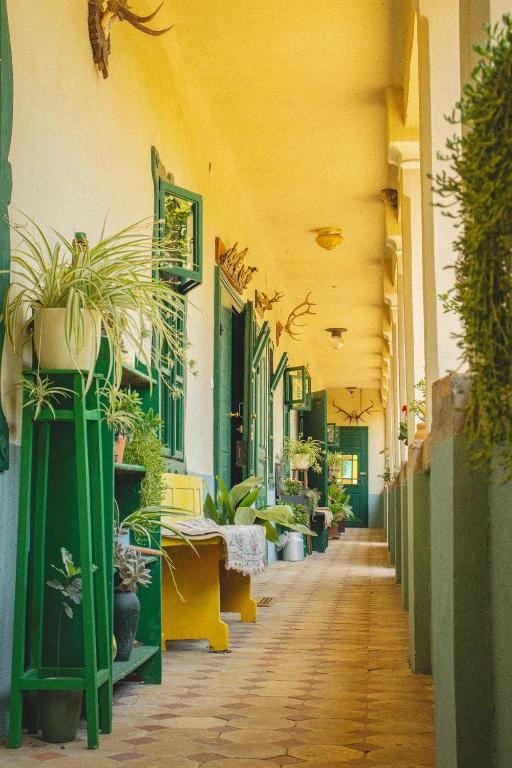 Tradicionalna Kuća Biljkinog oca, Lug