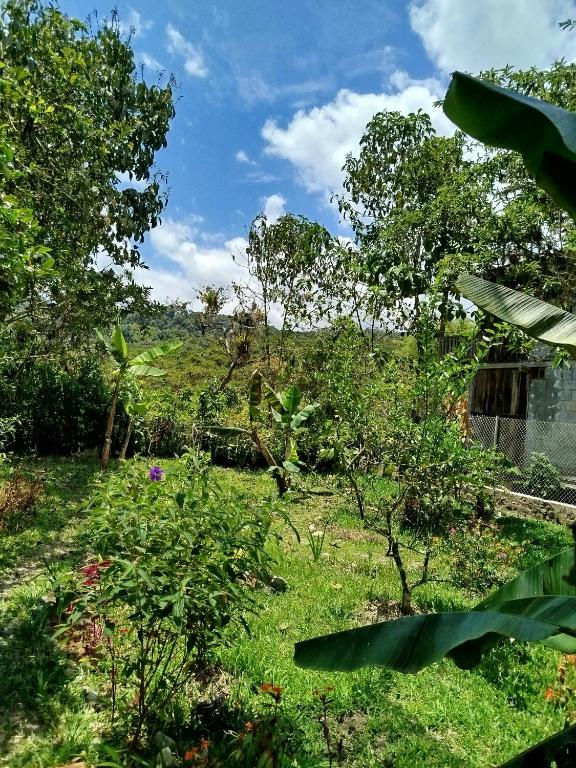 Larita' Rose MINDO Hospedaje y casita de Campo Los Guayabales - 2