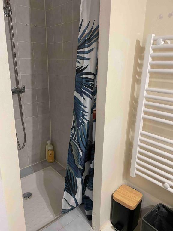 Appartement Intra Muros, climatisé N1 - 4