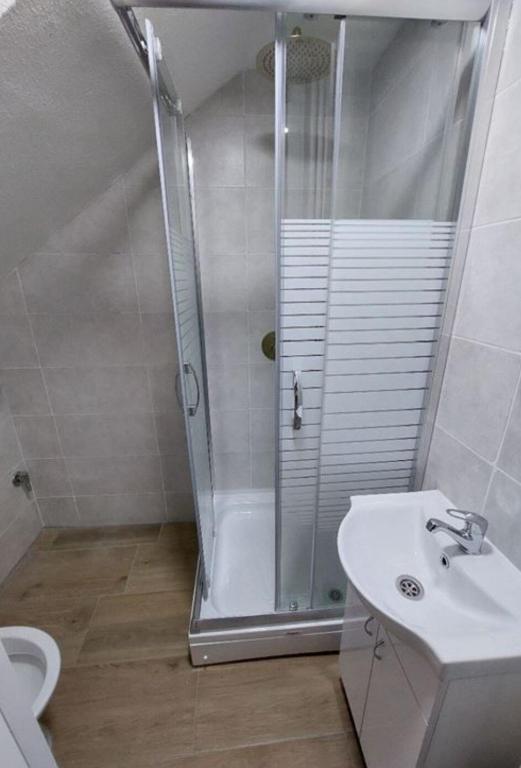 Radojkovic Apartman - 5