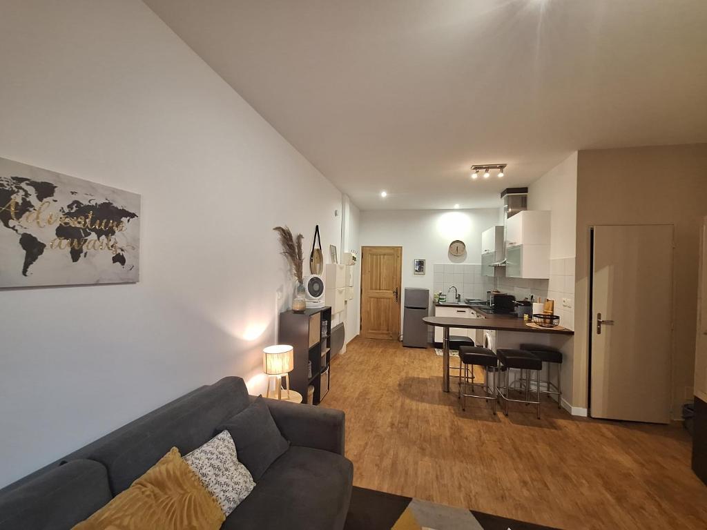 Studio élégant rénové, cœur piéton Evian - 4