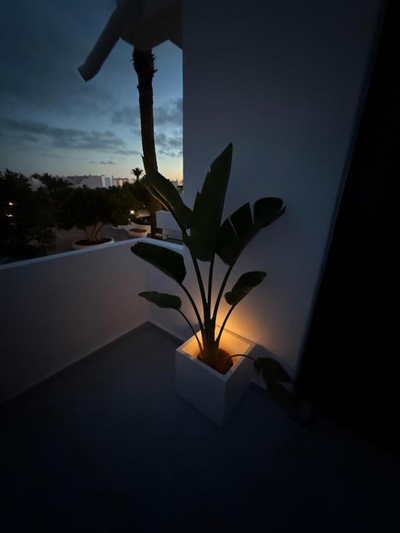 Los Molinos Serenity apartment - 2