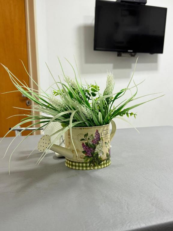 Complejo de departamentos Luz y Calma - 2