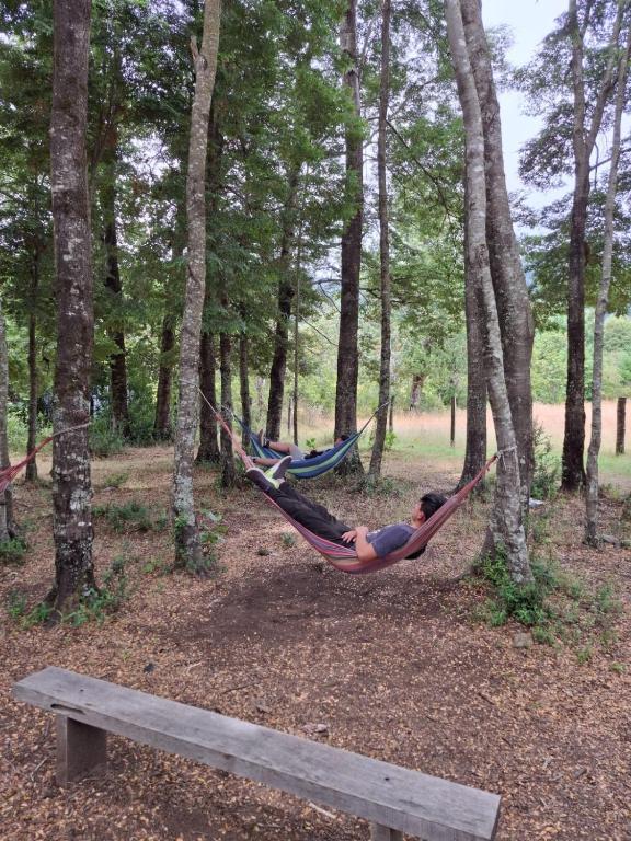 Cabaña en Choshuenco con Tinaja - 3